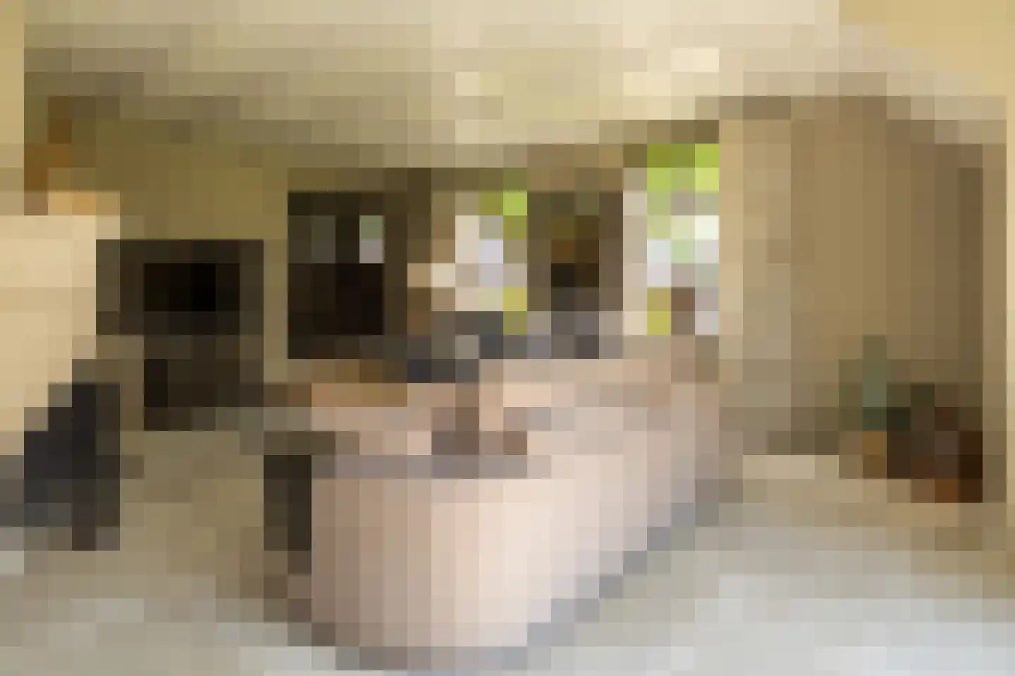 Veldweg 10 Nunspeet thumbnail 22