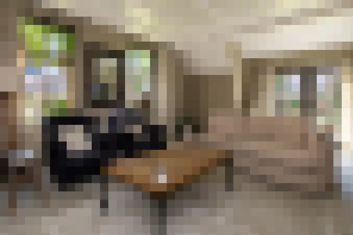Veldweg 10 Nunspeet thumbnail 23