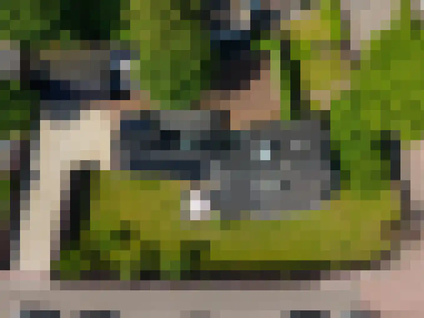 Veldweg 10 Nunspeet thumbnail 58