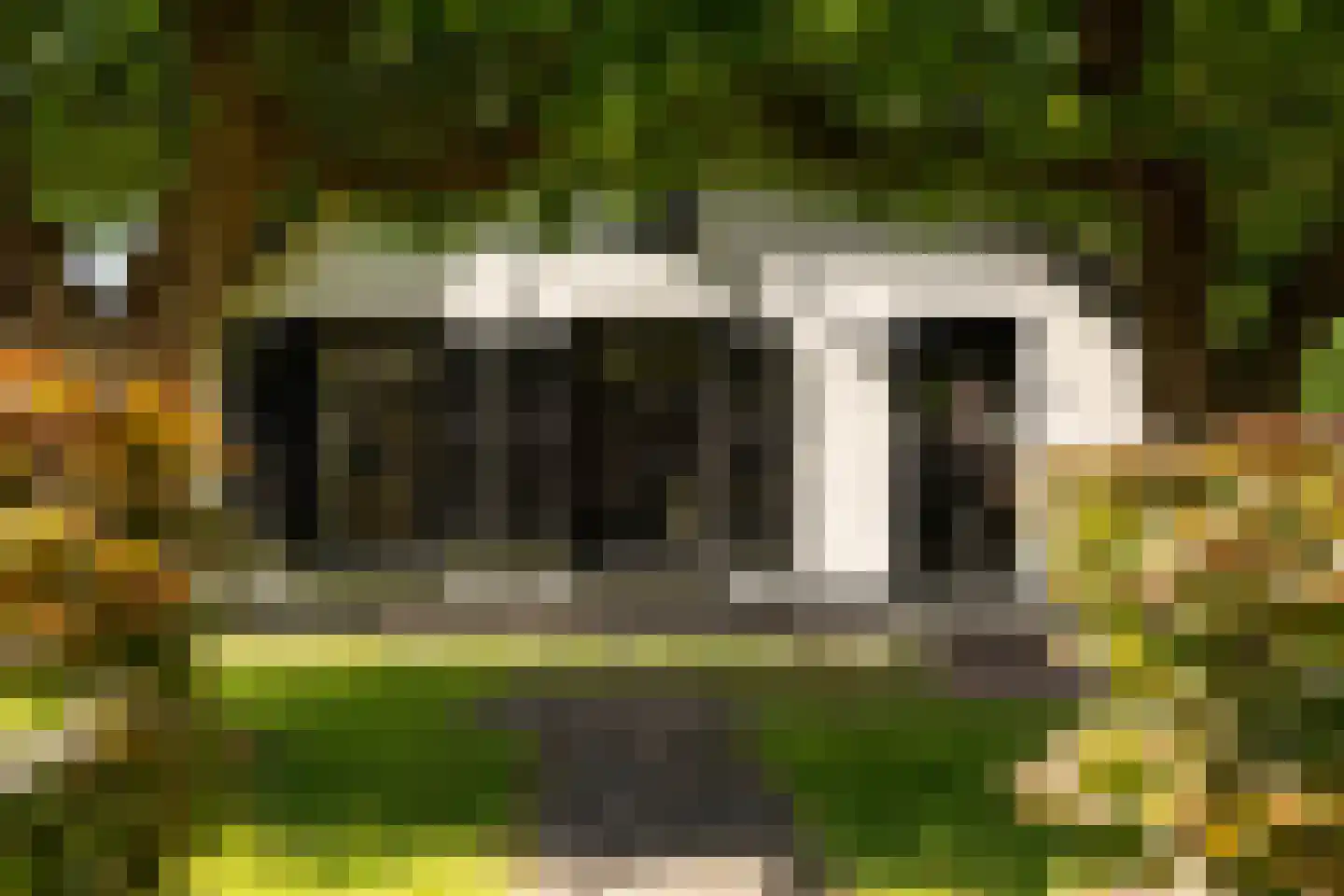 Veldweg 10 Nunspeet thumbnail 6