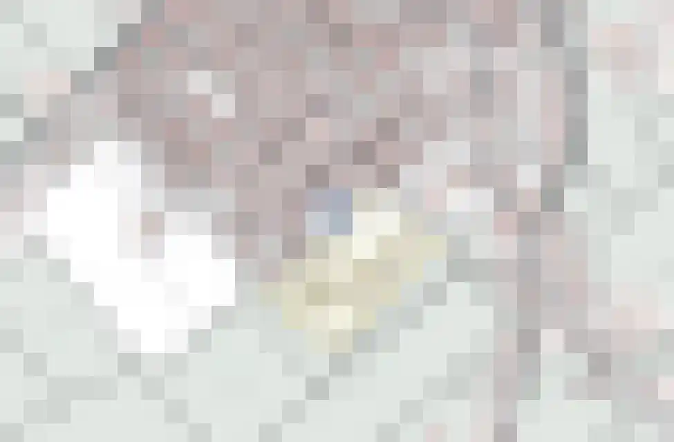 Veldweg 13 Leunen thumbnail 8