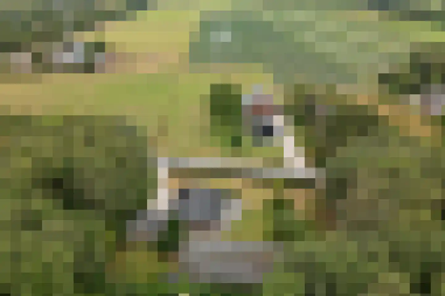 Veldweg 13 Nooitgedacht thumbnail 4