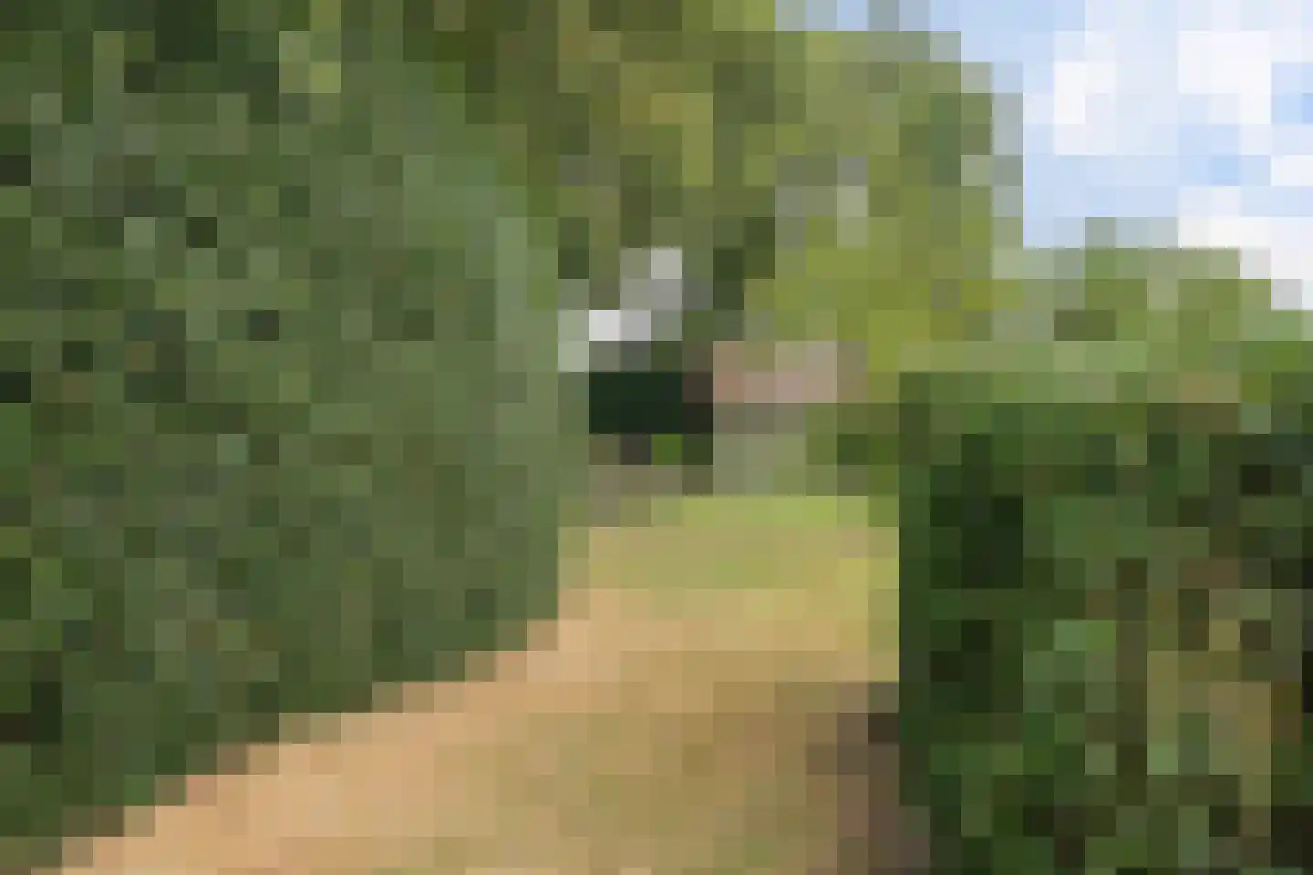 Veldweg 13 Nooitgedacht thumbnail 70