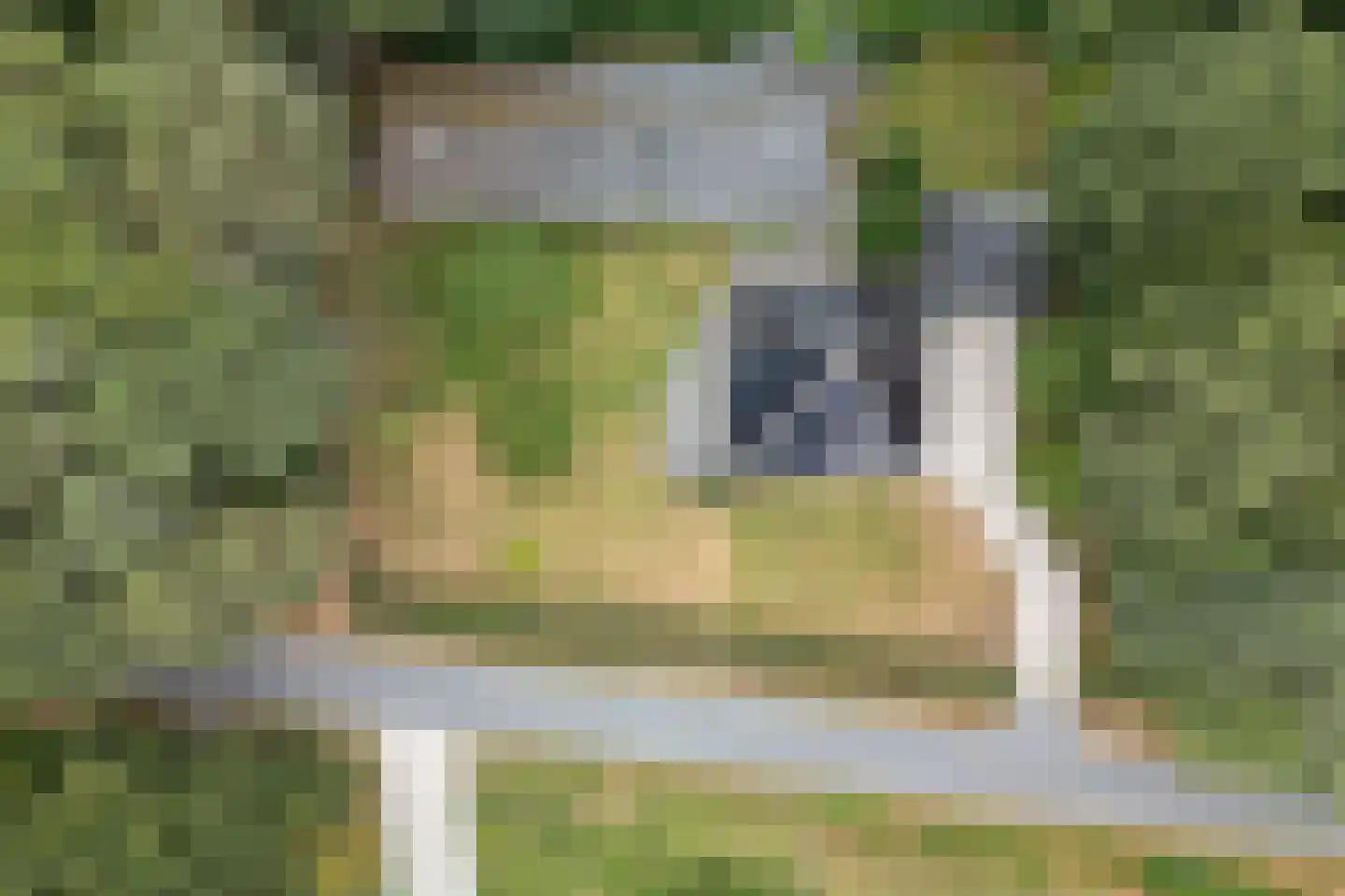 Veldweg 13 Nooitgedacht thumbnail 73