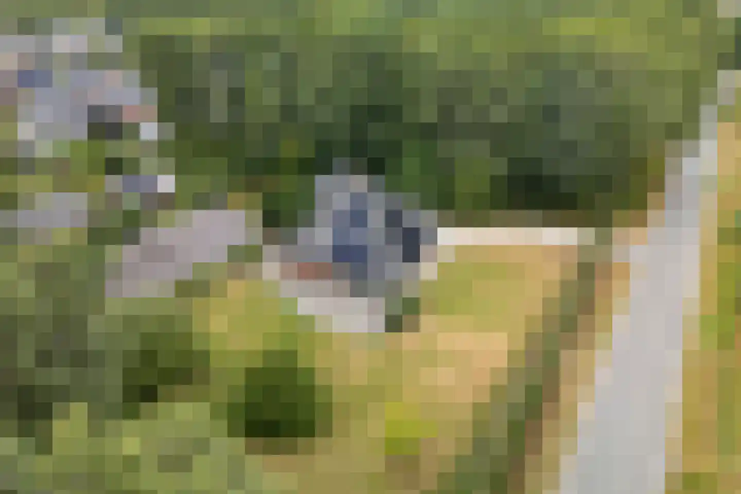Veldweg 13 Nooitgedacht thumbnail 74