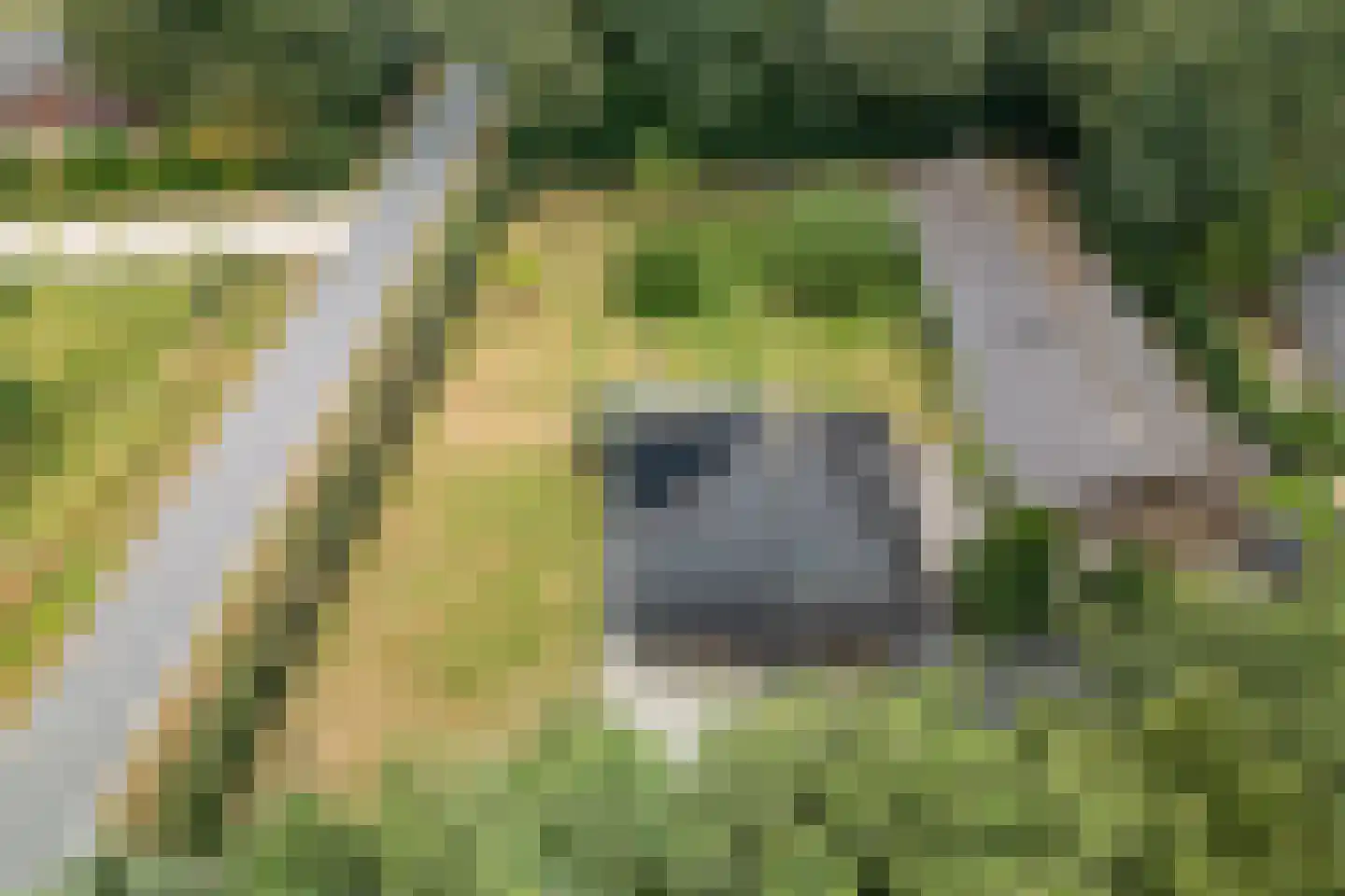 Veldweg 13 Nooitgedacht thumbnail 75