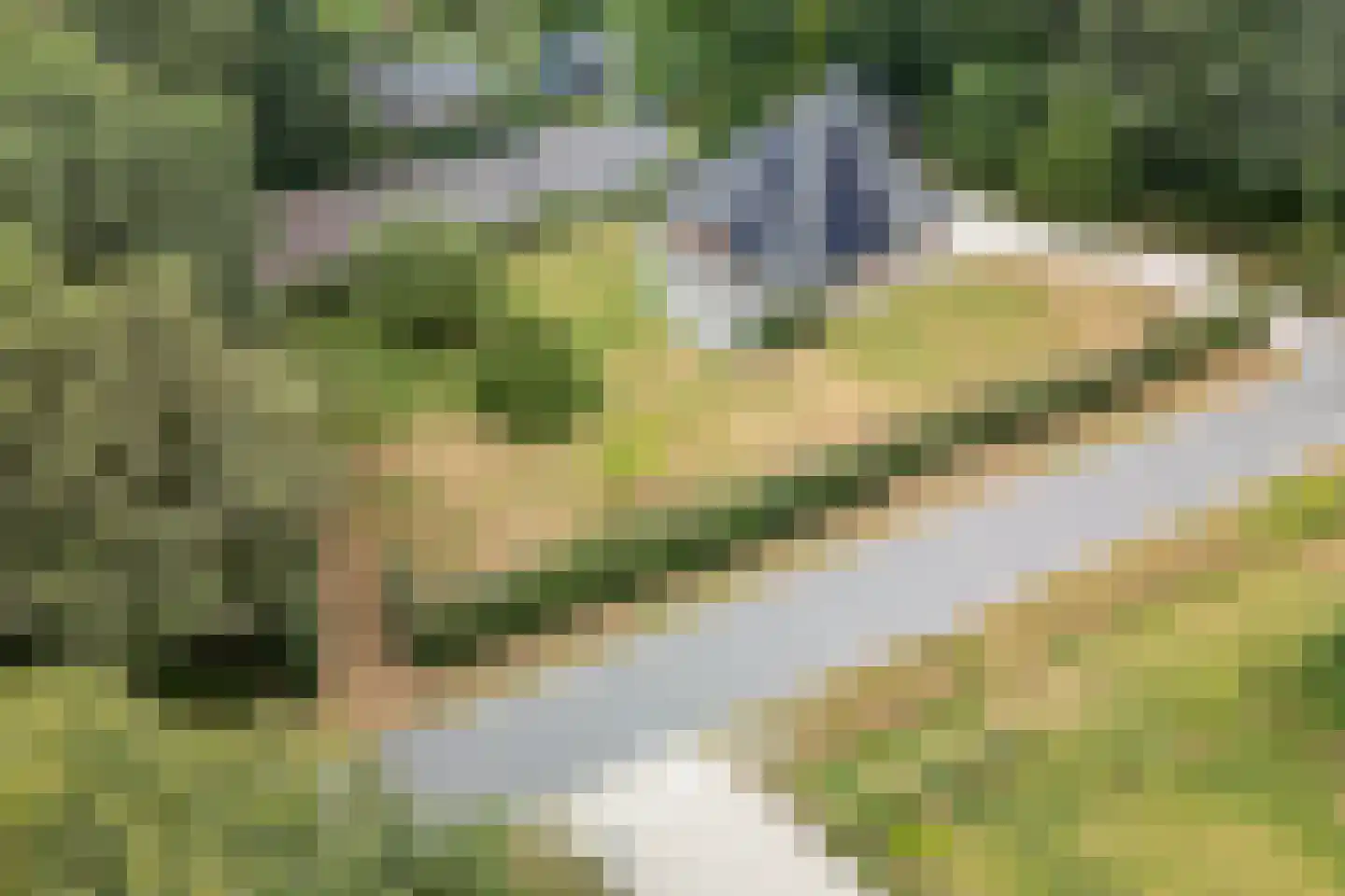 Veldweg 13 Nooitgedacht thumbnail 76
