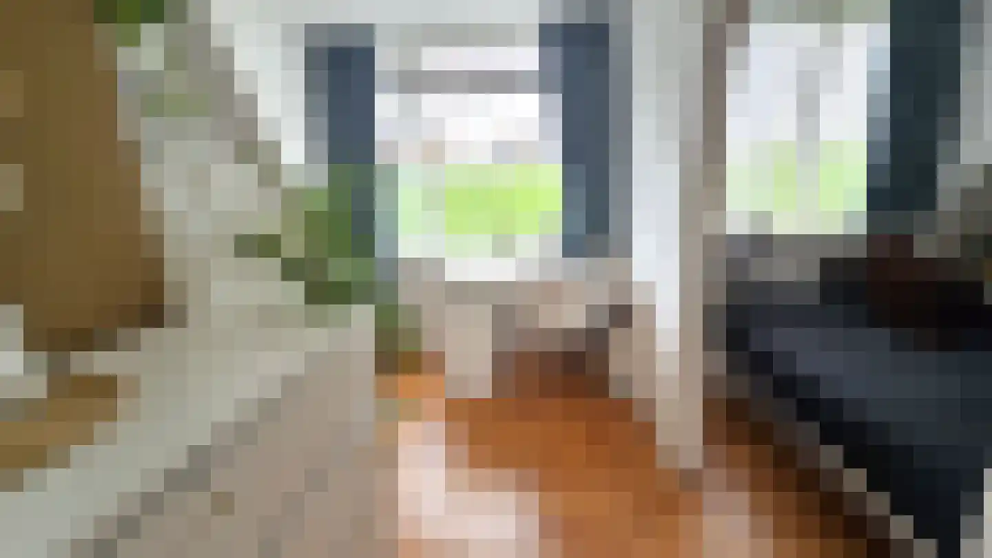 Veldweg 137 Westzaan thumbnail 19
