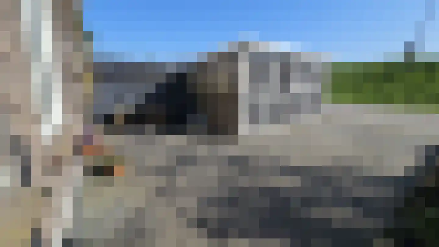 Veldweg 137 Westzaan thumbnail 29