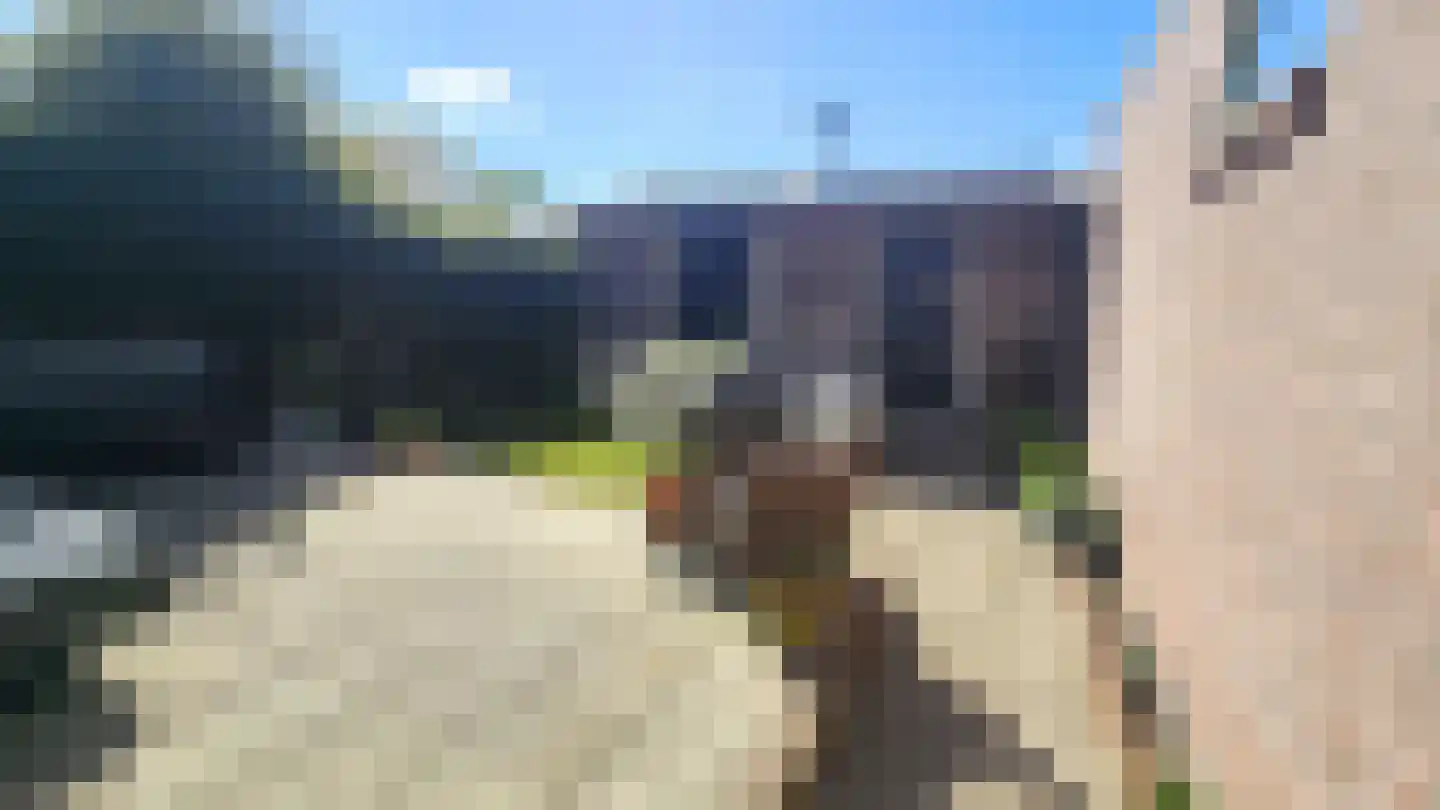Veldweg 137 Westzaan thumbnail 36