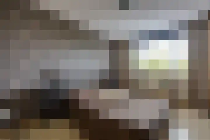 Veldweg 14 Etten-Leur thumbnail 16