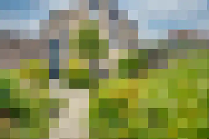 Veldweg 14 Etten-Leur thumbnail 33