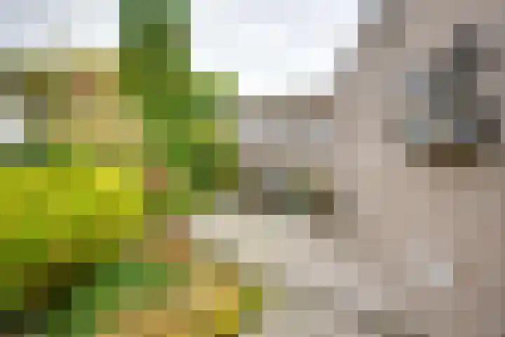 Veldweg 14 Etten-Leur thumbnail 36