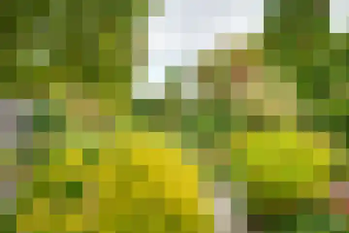 Veldweg 14 Etten-Leur thumbnail 37