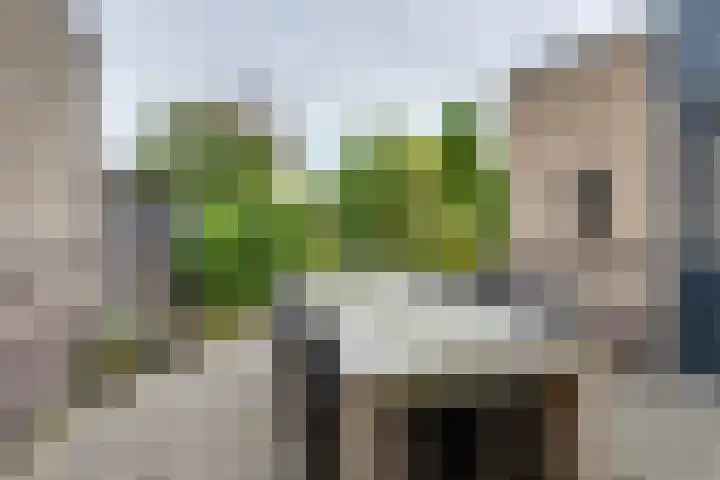 Veldweg 14 Etten-Leur thumbnail 38
