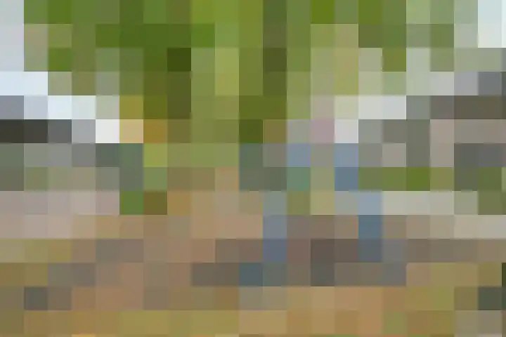 Veldweg 14 Etten-Leur thumbnail 42