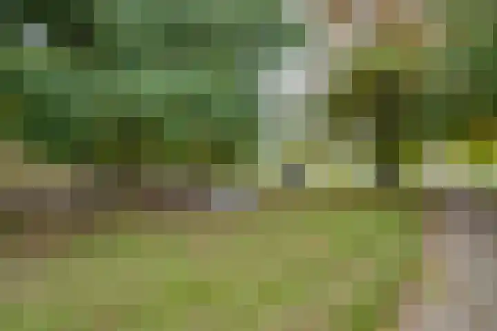 Veldweg 14 Etten-Leur thumbnail 44