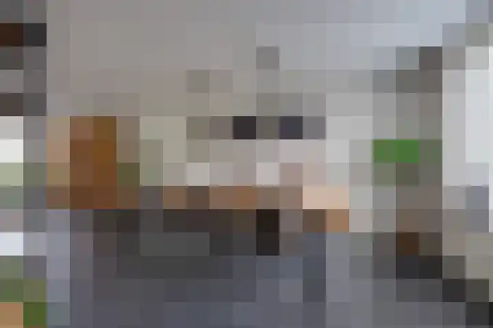 Veldweg 14 Etten-Leur thumbnail 9