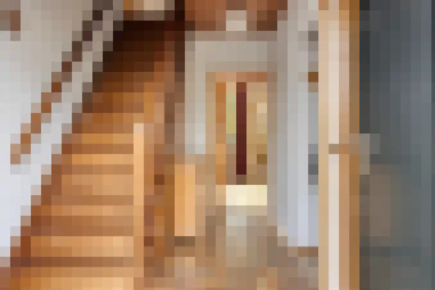 Veldweg 15 Denekamp thumbnail 14