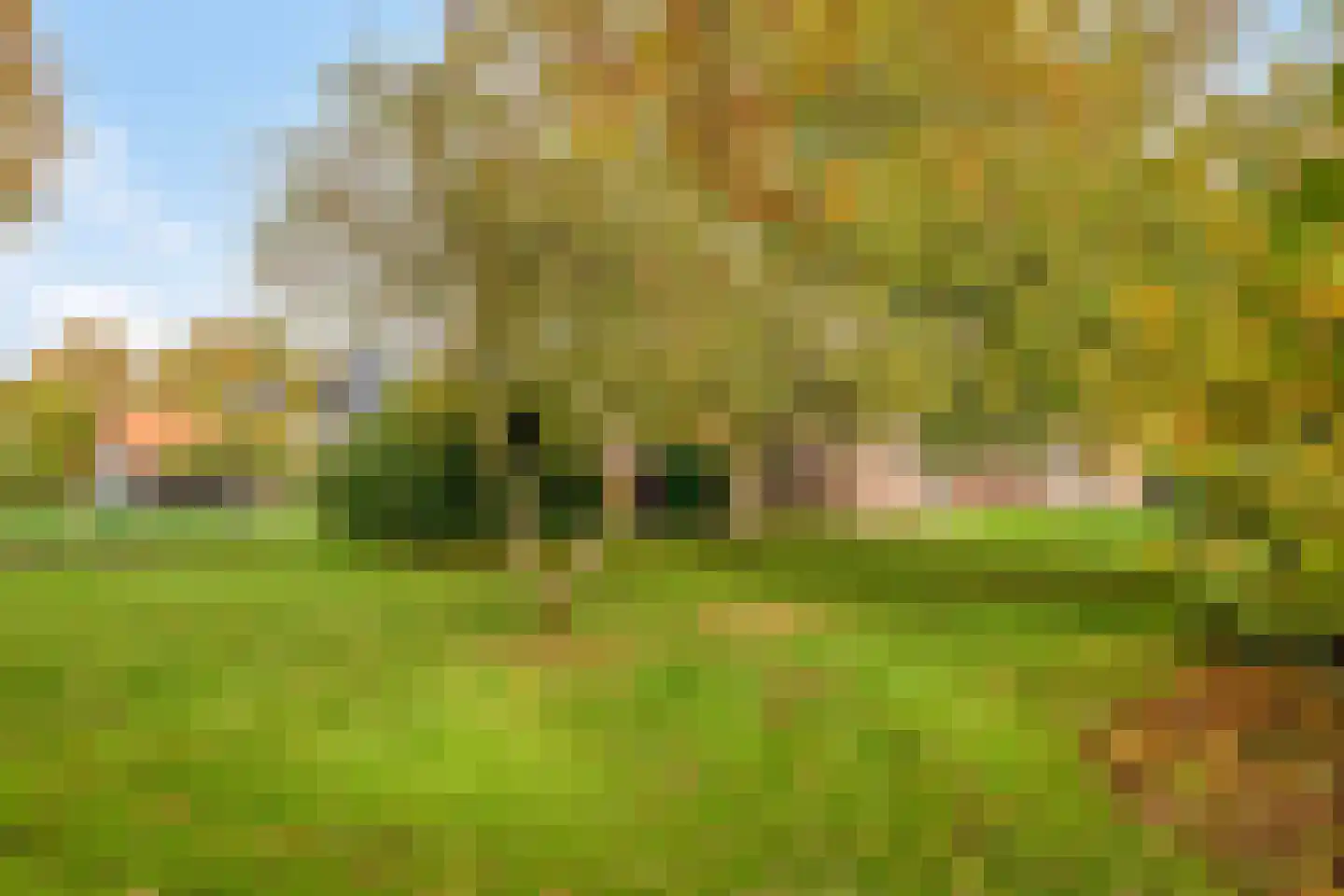 Veldweg 15 Denekamp thumbnail 28