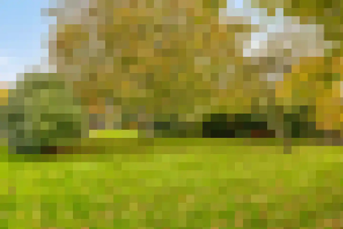 Veldweg 15 Denekamp thumbnail 29