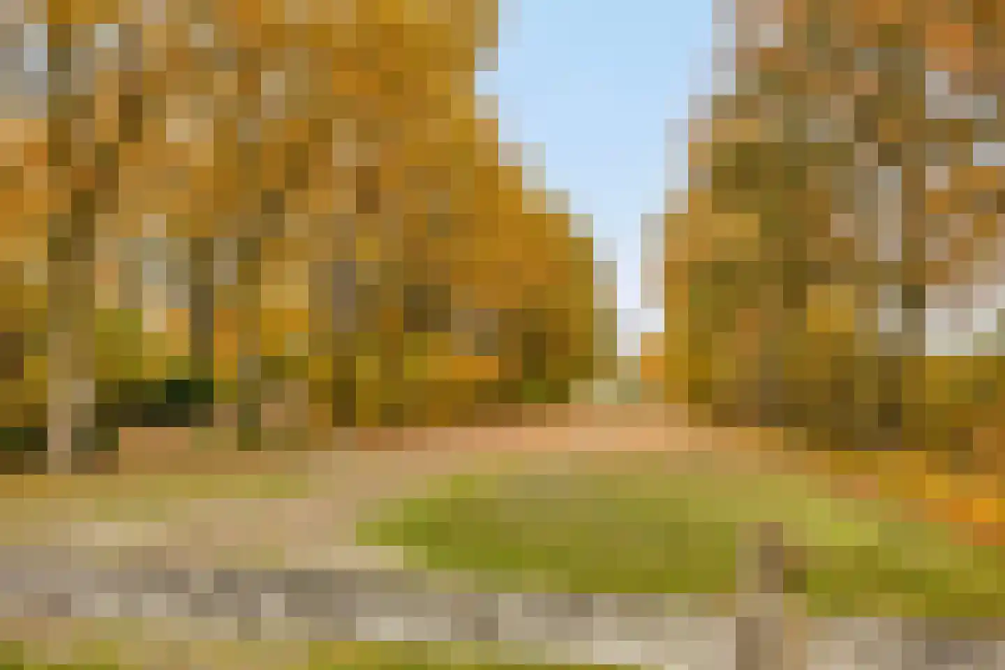 Veldweg 15 Denekamp thumbnail 34