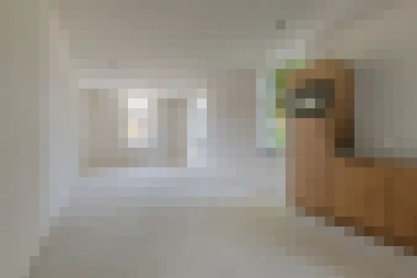 Veldweg 16 Gendringen thumbnail 12