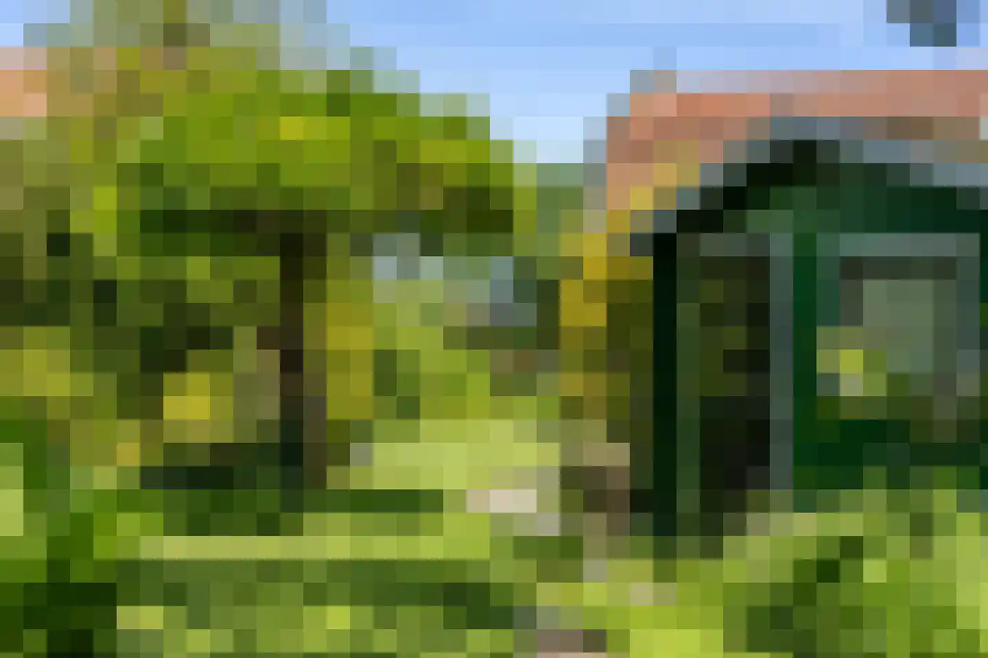 Veldweg 165 Westzaan thumbnail 19