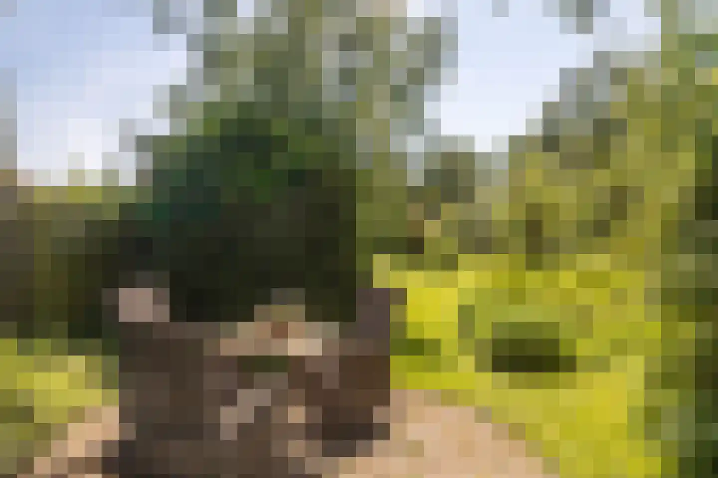 Veldweg 165 Westzaan thumbnail 21