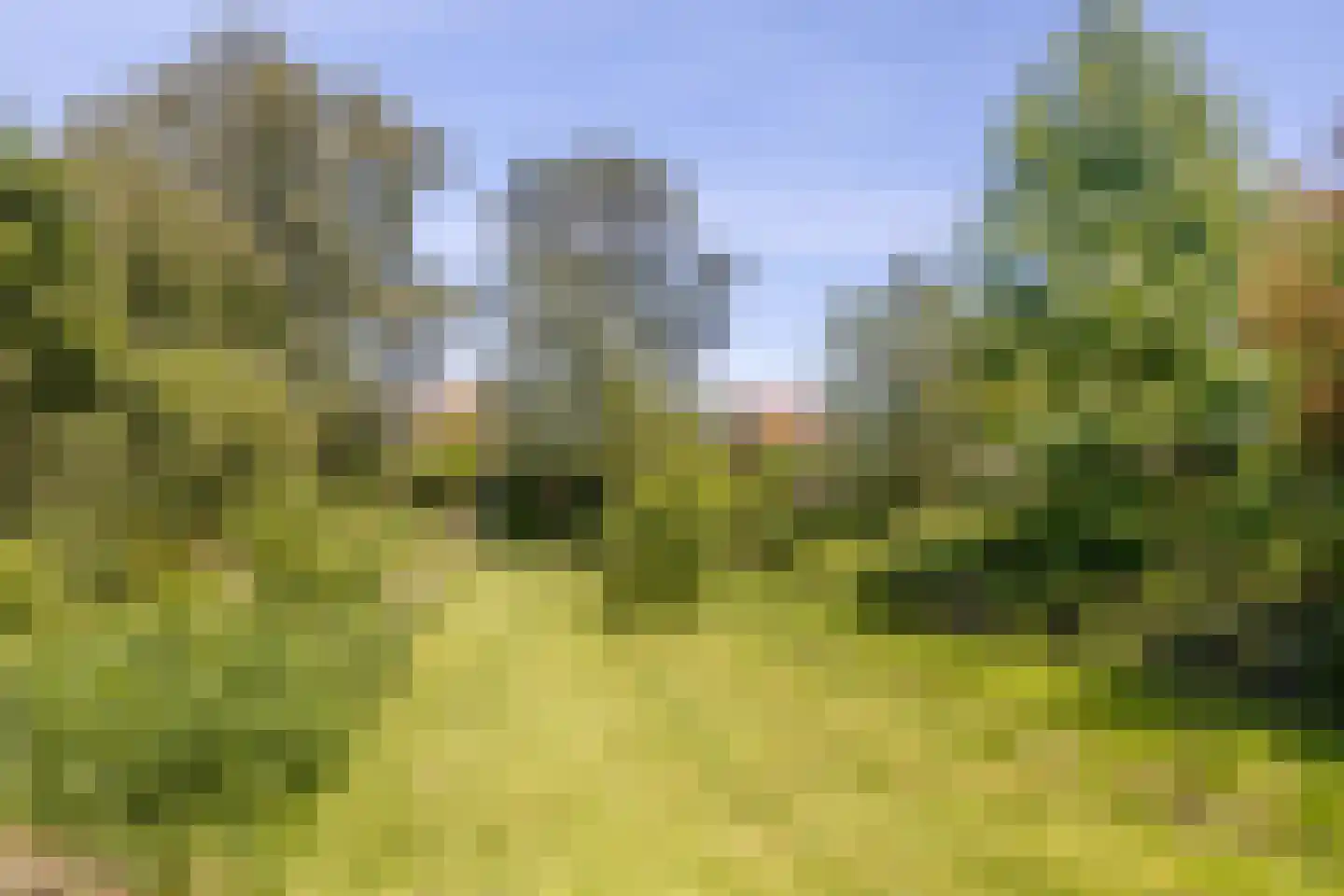 Veldweg 165 Westzaan thumbnail 23