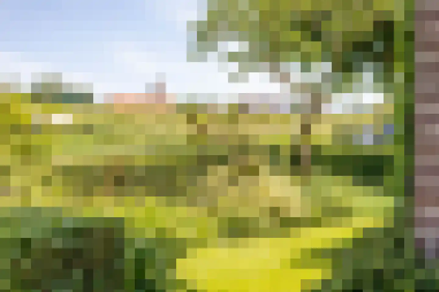 Veldweg 165 Westzaan thumbnail 38
