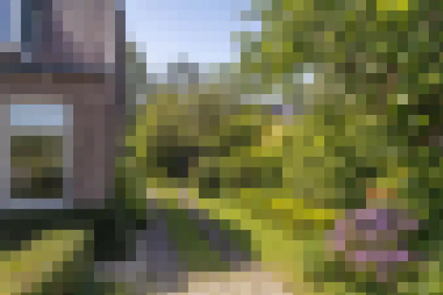 Veldweg 165 Westzaan thumbnail 39