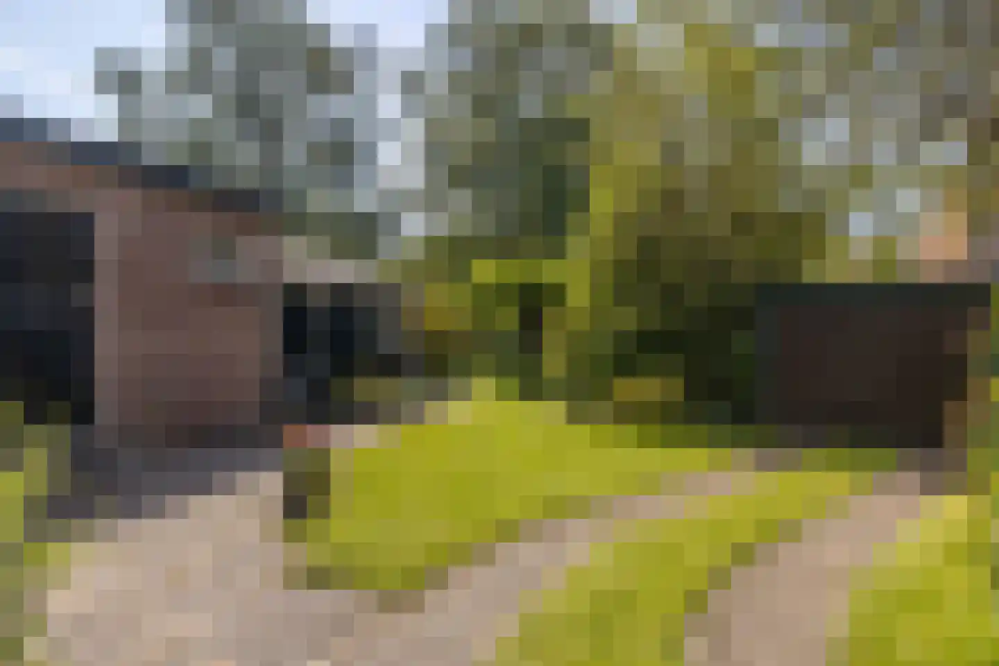 Veldweg 165 Westzaan thumbnail 41