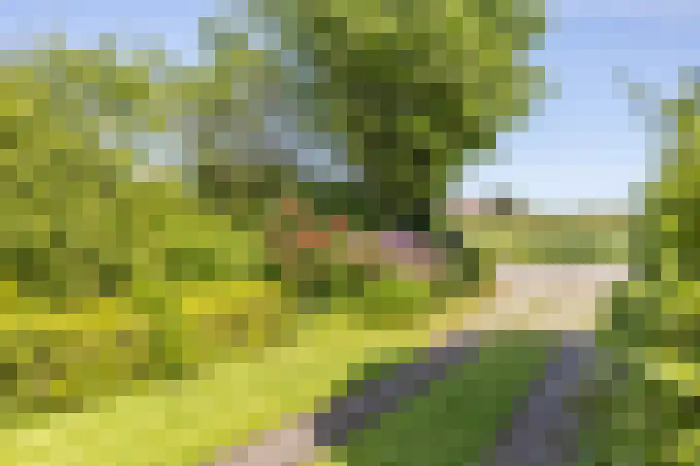 Veldweg 165 Westzaan thumbnail 42