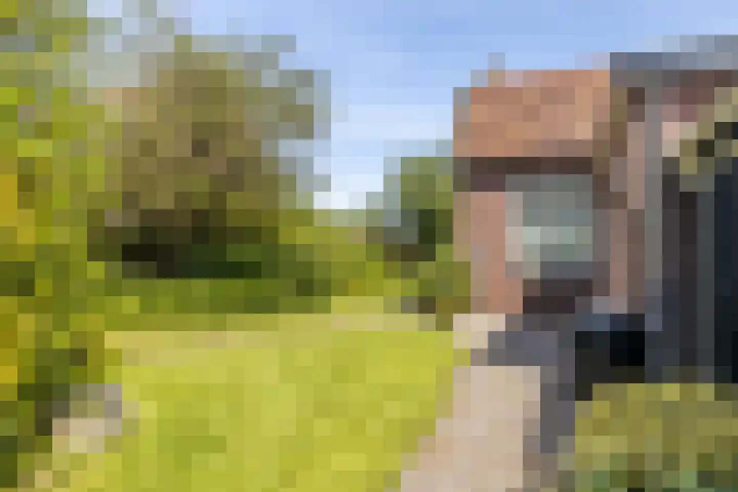 Veldweg 165 Westzaan thumbnail 46