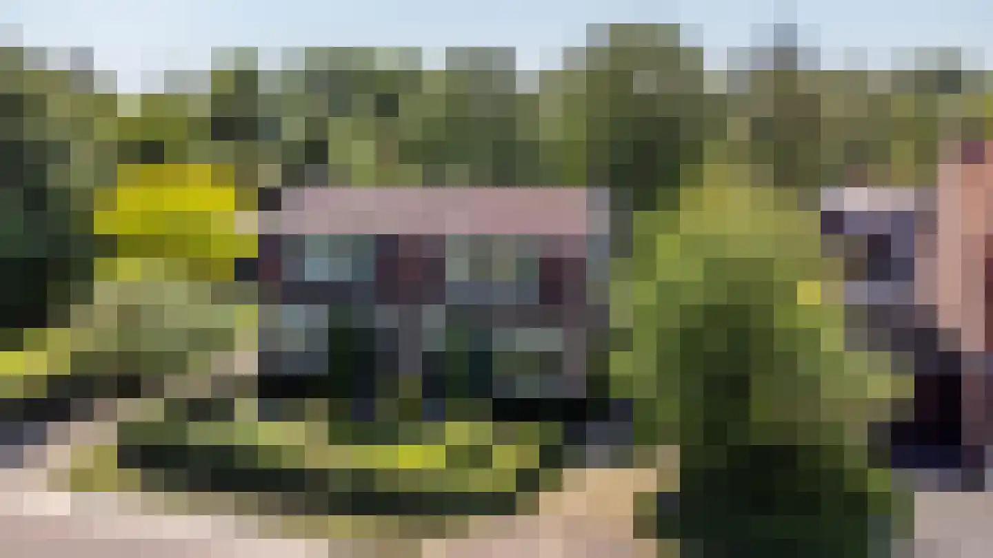 Veldweg 165 Westzaan thumbnail 47
