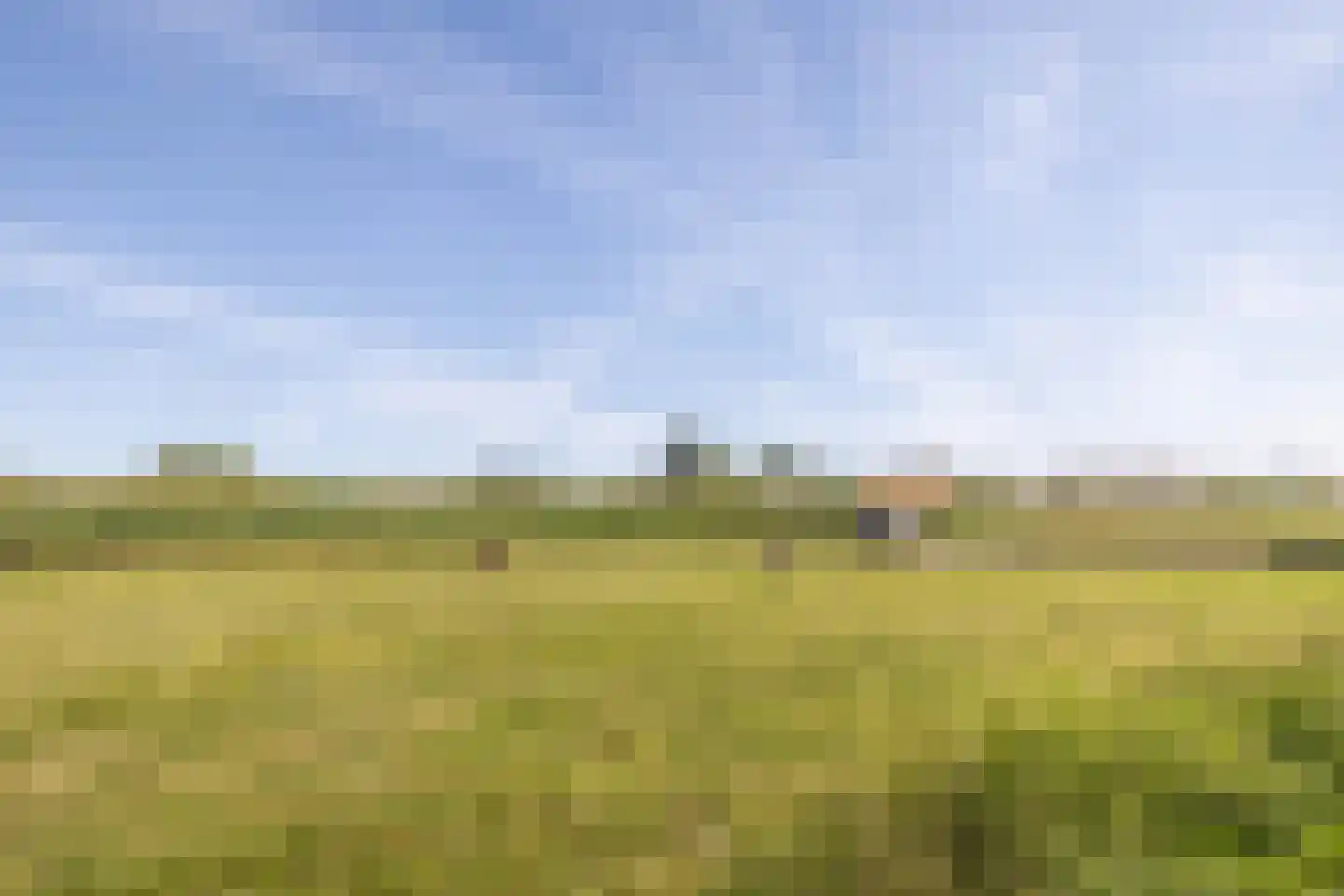 Veldweg 165 Westzaan thumbnail 49