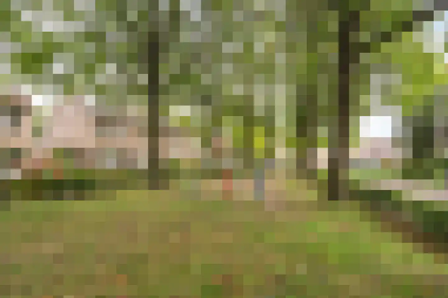 Veldweg 18 Etten-Leur thumbnail 47