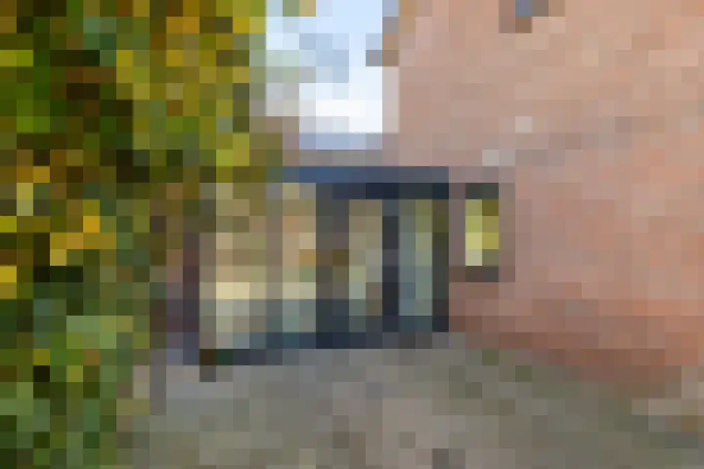 Veldweg 19 Annen thumbnail 32