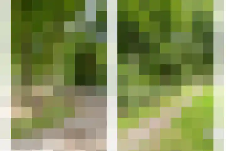 Veldweg 19 Hattem thumbnail 10