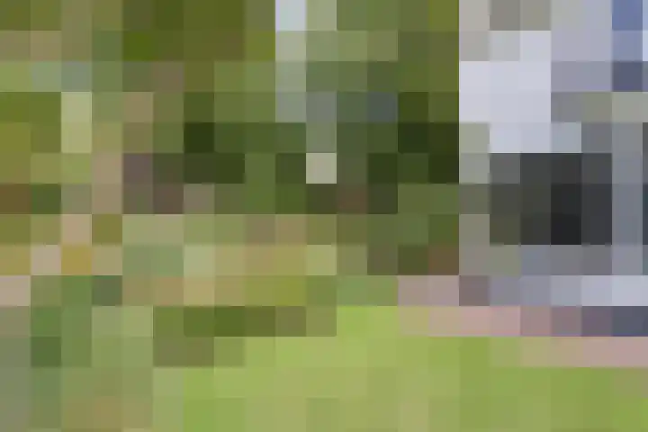 Veldweg 19 Hattem thumbnail 16