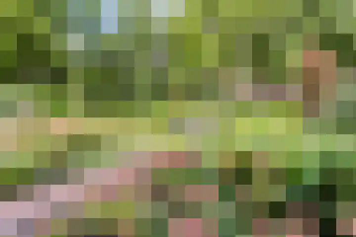 Veldweg 19 Hattem thumbnail 17