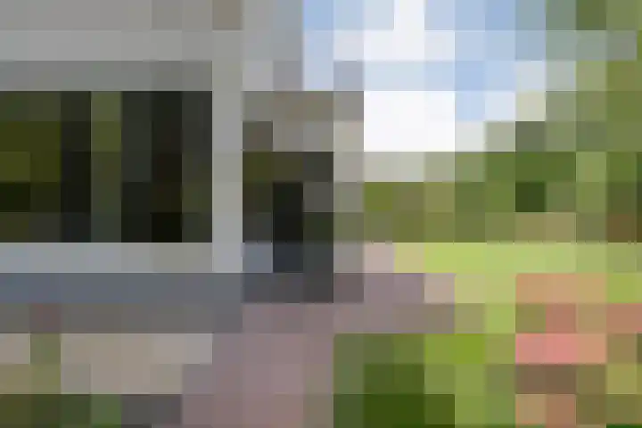 Veldweg 19 Hattem thumbnail 19