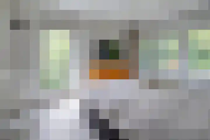 Veldweg 19 Hattem thumbnail 37