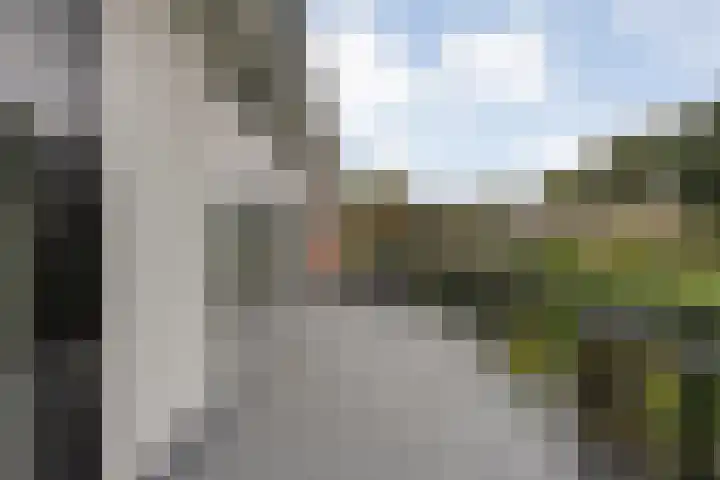 Veldweg 19 Hattem thumbnail 39