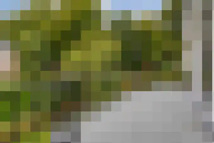 Veldweg 19 Hattem thumbnail 40