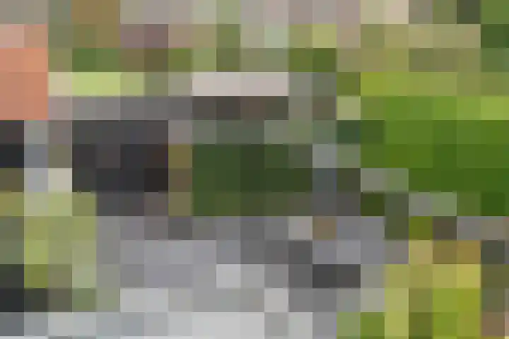 Veldweg 19 Hattem thumbnail 41