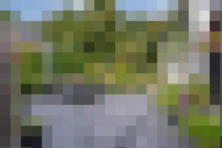 Veldweg 19 Hattem thumbnail 48