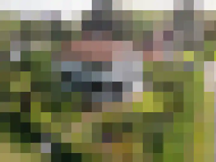 Veldweg 19 Hattem thumbnail 9