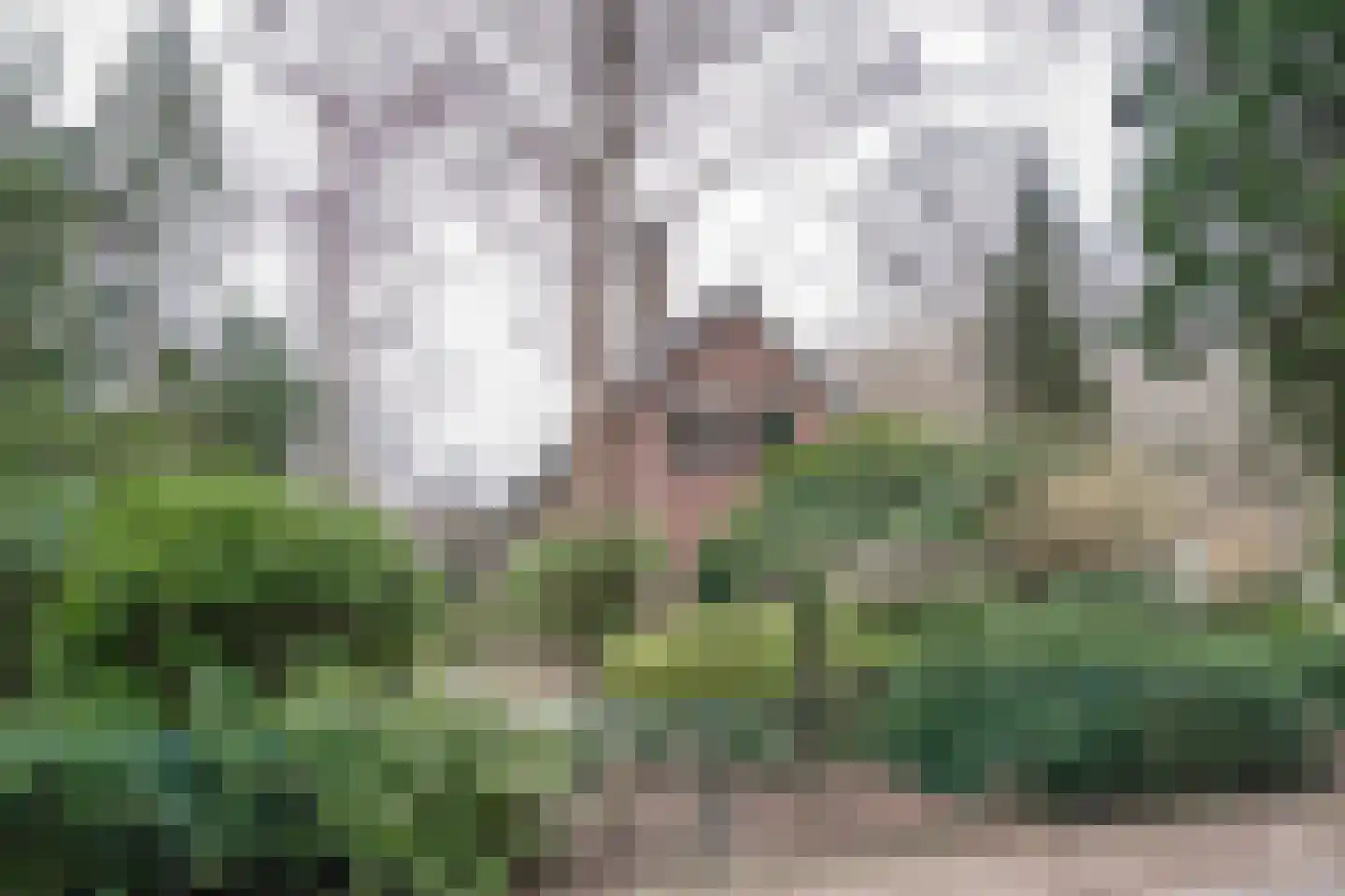 Veldweg 19 Heerde thumbnail 10